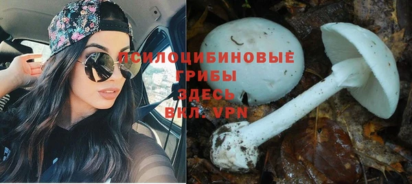гидропоника Алзамай
