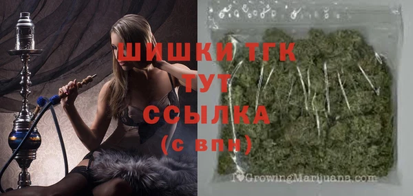 соль ск Алексин