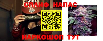 шишки Шебекино