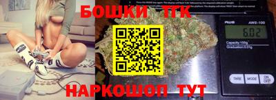 индика Шахты