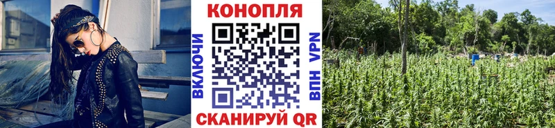 где можно купить Выкса blacksprut Бошки Шишки SATIVA & INDICA