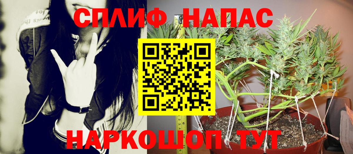 Марихуана сатива  МАРИХУАНА марихуана  Вход с VPN  Выкса  МАРИХУАНА конопля  Бошки марихуана AK-47 